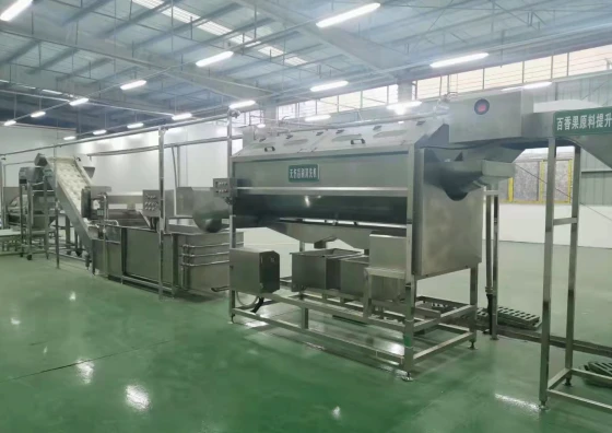 industrial mango processing machine