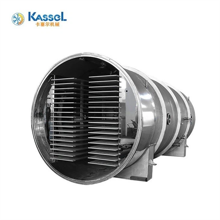 Vacuum Freeze Dryer suppliers