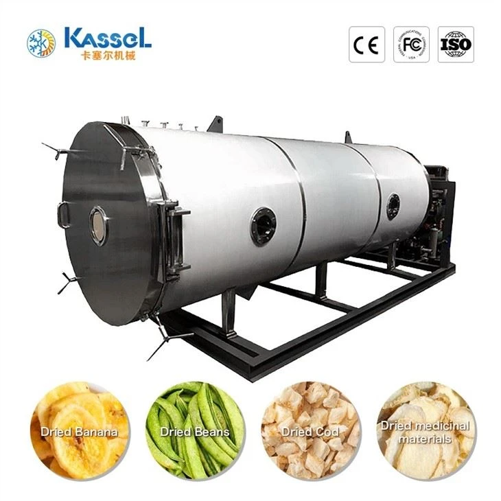 Vacuum Freeze Dryer manufacturers